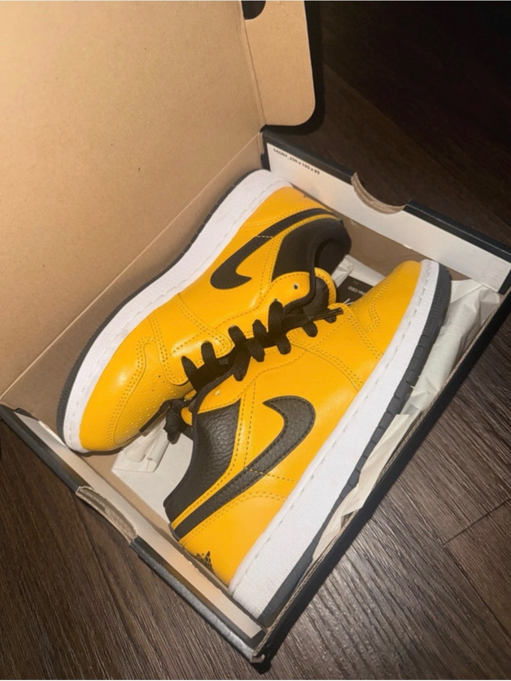 Jordan 1 Lows